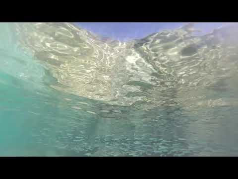 Schnorcheln an der Playa Porto Mari auf Curacao