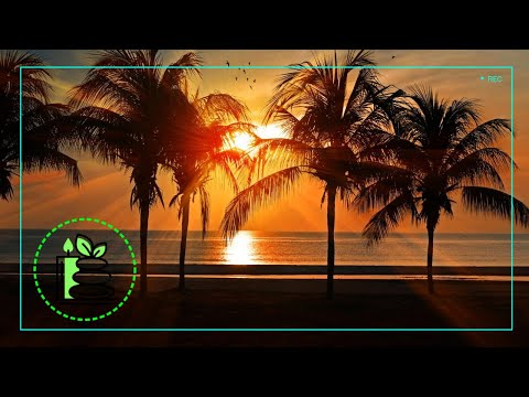 Приятная музыка. Расслабься и наслаждайся