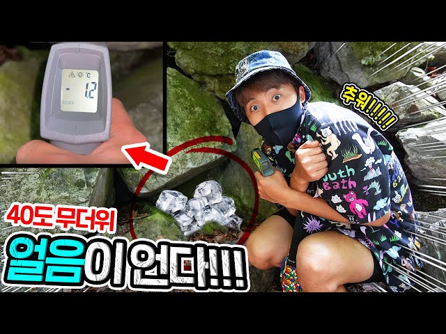 Kore'de 자연 Video Telaffuz