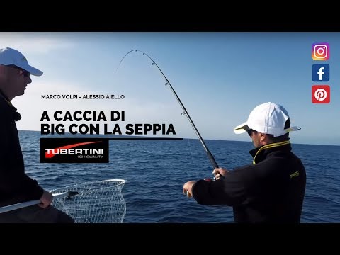 Tubertini - A caccia di big con la seppia