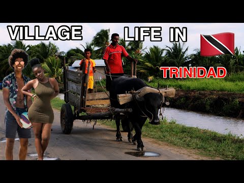 OMG! Village Life in Trinidad & Tobago is NOT What you Think! ????????