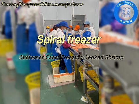 The spiral freezer journey of frozen shrimp – fresh every time!