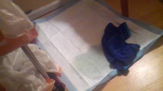 Pee and comments/questions