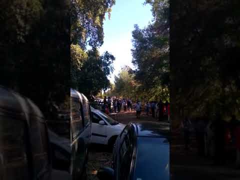 (VIDEO) Polémica por “carreras a la chilena” autorizadas por el municipio en medio del alza de casos de Covid-19 en Linares