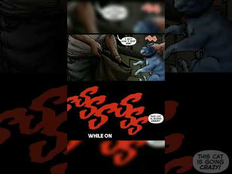 The Tragic Origin of the Red Lantern Cat 😢#shorts #dc #dccomics