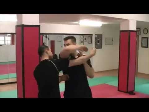 Wing Tai Kampfkunstschule Regensburg