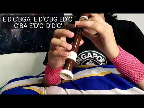 Katekyo Hitman Reborn ED 10 - Sakura Rock | Recorder cover