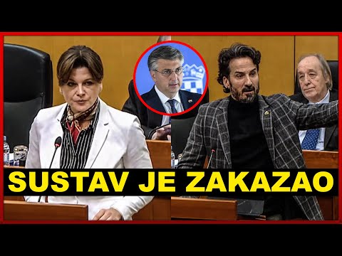 Vidović Krišto činjenicama ušutkala Plenkovića i Božinovića, Miletić o posvajanju djece iz Konga