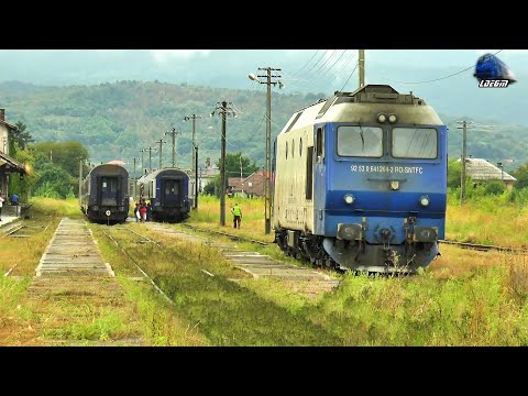 GM 64-1264-2 & Mecanic de Treabă/Nice Engineer in Gara Sighetu Marmației Station - 19 August 2020