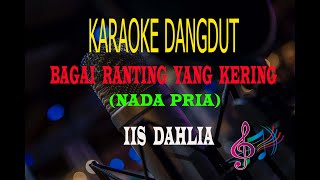 Download lagu Karaoke Bagai Ranting Yang Kering Nada Pria - Iis Dahlia (Karaoke Dangdut Tanpa Vocal) mp3