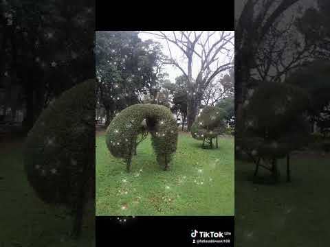 cidade de cerro  largo  Rio Grande do Sul