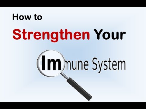 How to Strengthen Your Immune System