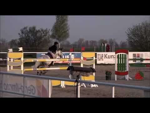 LEVINO (9yo Levisonn) April 2022 Langenau - 4. Platz 140 cm