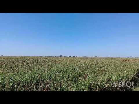 RECORDANDO MI NIÑEZ: DE VISITA AL CAMPO, EN S.M.LASPIUR ( CORDOBA)(R.A).