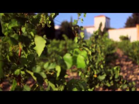 Laurent Miquel wijnen, LanguedocHD