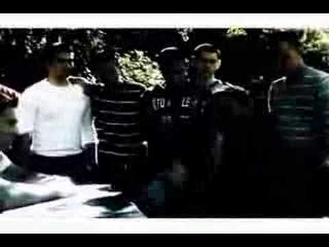 Tork - schisnj danaa