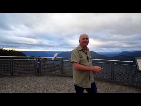 Chapman Tours