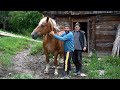 84 Year Old Man And His 2 Sons Live ISOLATED In The MOUNTAINS A World That CIVILIZATION Forgot