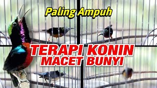 Download lagu TERAPI KONIN BAHAN DAN MACET BUNYI AGAR GACOR mp3