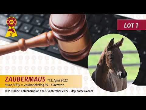 1 Zauberlehrling Fidertanz