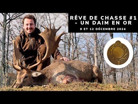 GOLD MEDAL FALLOW BUCK - HUNTING DREAM #1