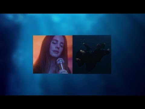 Cinnamon Girl x WILDFLOWER (mashup) -Lana Del Rey x Billie Eilish