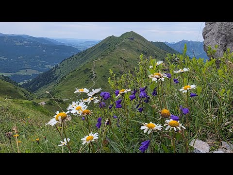 Urlaub im Allgäu (Teil 2)  Vom Fellhorn zur Kanzelwand und Wanderung rund um Einödsbach