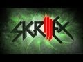 Levels Up! Skrillex Feat. Korn & Avicii Dubstep ...