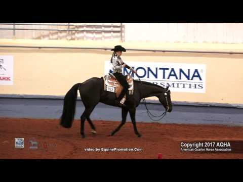 ODE TO ZIPPO ridden by TATUM KEYS RICHEY  - 2017 AQHYA World Show (Trail, Prelims)