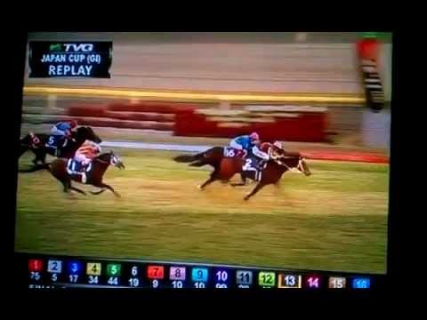 Japan Cup 2011 Buena Vista