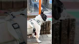 そんなにビビらなくても大丈夫だよw
