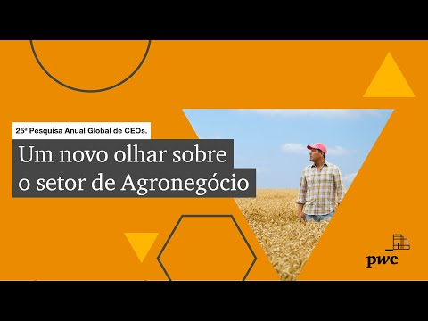 25ª Pesquisa Anual Global de CEOs | Destaques de Agronegócio