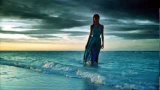 BLUE DOLPHIN/STEPHEN SCHLAKS