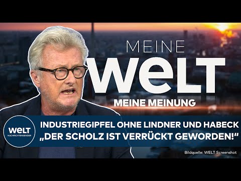 MEINE MEINUNG: "Scholz ist verrückt geworden!" Nächster Industriegipfel ohne Lindner und Habeck