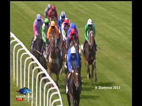 Memorial Summer Mile Stakes 2013 G2   Aljamaaheer