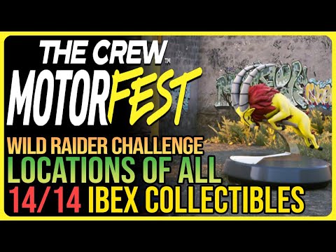 All 14 IBEX Collectibles Crew Motorfest - Wild Raider Challenge
