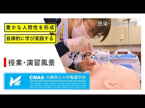 【兵庫県立大学看護学部】  講義・演習風景の紹介