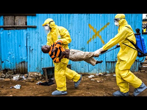 埃博拉：2014年疫情解讀 (Ebola: The 2014 Outbreak Explained)