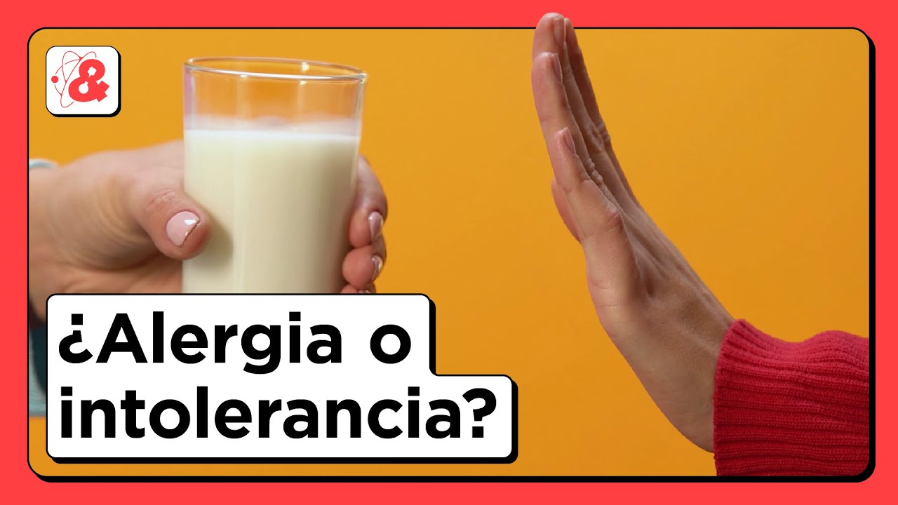 La diferencia entre ALERGIA e INTOLERANCIA