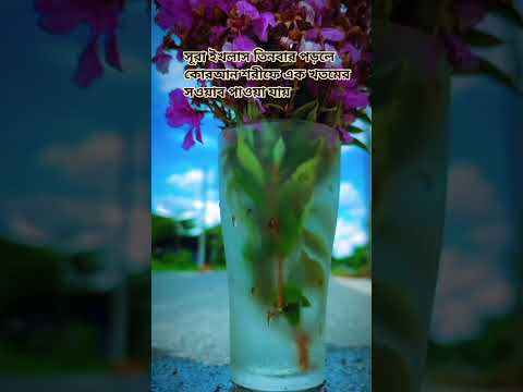 Flowers stay in the road🥰💐 #viralvideo #foryou #shortvideo #nature #quran #surah