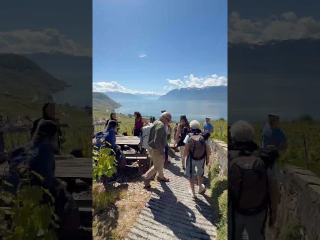 10 ans 🎉 Rando-philo dans le Lavaux