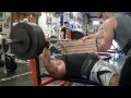 How Much You Bench Bro Dan Kovacs KILLS Triceps Ronnie Coleman Ronnie Coleman