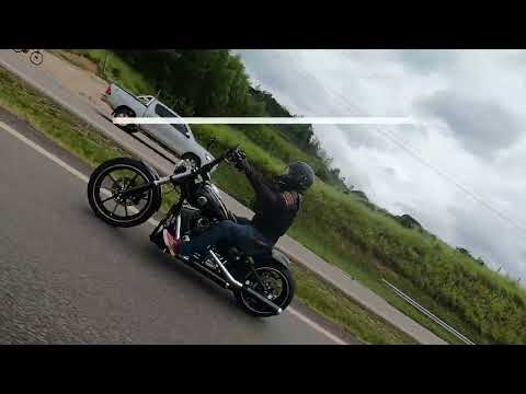 HARLEY  Estilo de Vida