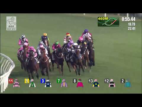 港經佬賽事重溫｜27-12-2021 沙田日馬第十場賽事重溫 (289)｜美麗滿滿 ALL BEAUTY (E355)｜何澤堯 C Y Ho｜羅富全 F C Lor｜免費心水及賽馬貼士