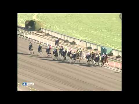 2016.02.21 February Stakes (JPN) - Moanin