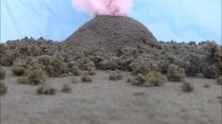 The Last Days of Pompeii