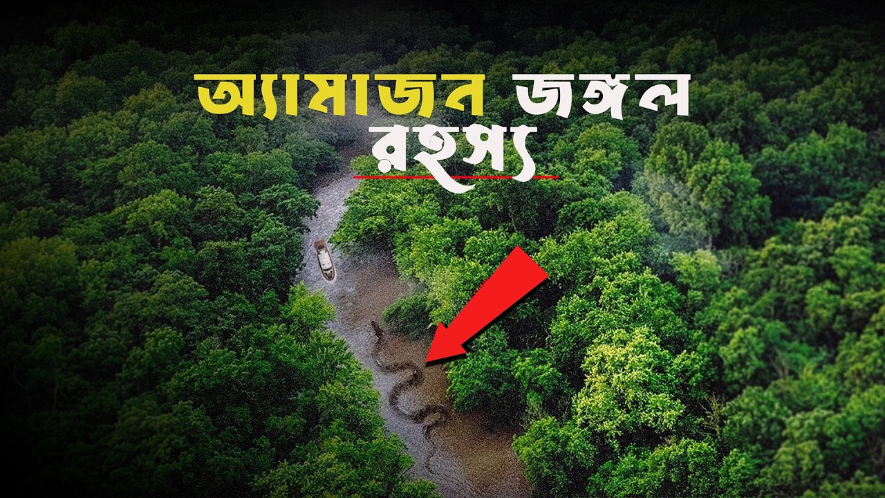 অ্যামাজন জঙ্গলের অজানা রহস্য: ৬টি অবিশ্বাস্য ঘটনা যা আপনাকে অবাক করবে! অ্যামাজন জঙ্গলের অজানা রহস্য: ৬টি অবিশ্বাস্য ঘটনা যা আপনাকে অবাক করবে!