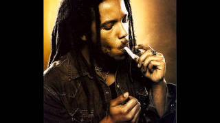 Stephen Marley - Pale Moonlight (How many Times)