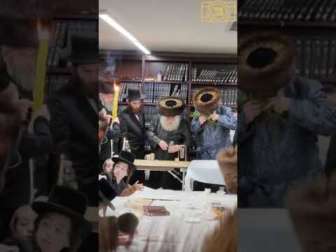 מוצש"ק מיט כ"ק גאב"ד מאקאווא שליט"א אין ניו יארק