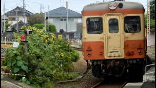 ジョバチャンッ！@常磐特快【のりもの配信&動画チャンネル】 のライブ配信